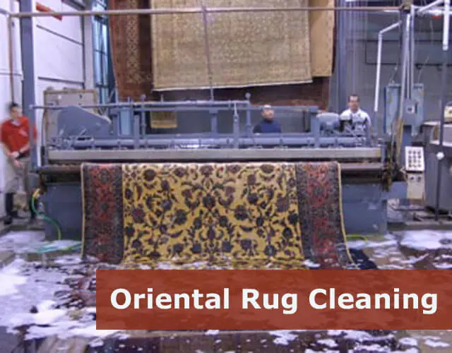 Regular Professional Rug Cleaning & Maintenance Vista